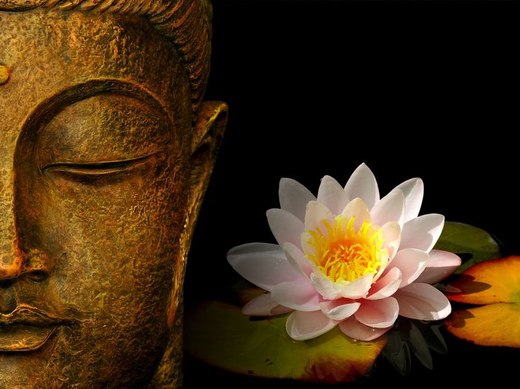 imagem do rosto de buda ao lado de uma flor de lotus